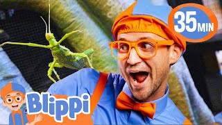 Blippi Spends the Day with Insects at the Zoo! | BEST OF BLIPPI TOYS!