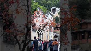 中国最美农村：江西婺源 The Most Beautiful Countryside in China: Wuyuan, Jiangxi