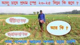 আলু চাষে ভালো ফলনের জন্য ২০-২৫ দিনের প্রথম স্প্রে কি করবেন? ছত্রাকনাশক,কীটনাশক,আর কি? #potato