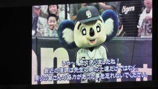 「ドアラ先生 バク転完全復活ってことでいいっすよね」 110809中日阪神戦