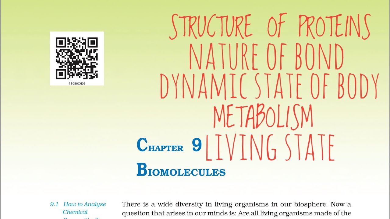 Biomolecules Ncert Part 3 For Neet Youtube