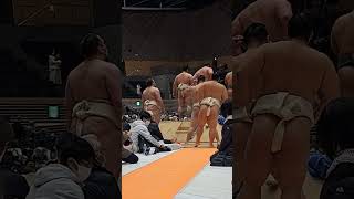 大相撲巡業　#sumo #四日市市　#巡業　#大相撲