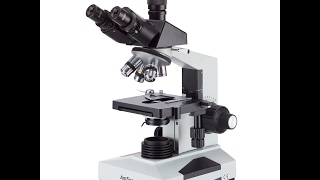 AmScope T490B Compound Trinocular Microscope, 40X-2000X Magnification,...