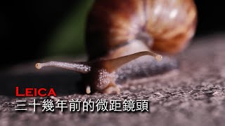 三十幾年前的Leica R微距鏡頭，除了拍微距還可以做什麼！？