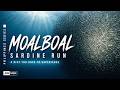 Moalboal, Cebu | Sardine Run Dive Experience Sept 2025