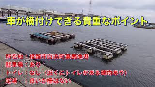 姫路市　妻鹿漁港　最西の波止　そんなに人もいないのでのんびり釣れますよ！（令和2年3月上旬）