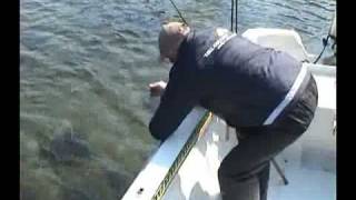 2006 - 4/8 VÄSTERVIK PIKE FISHING.flv