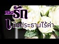 หวงรักเมียประธานไร้ค่า นิยายสั่น