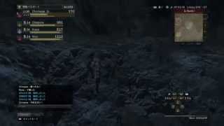 DDON　ホボリック洞穴から素材集め