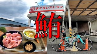 【ロードバイク】三重県の大遠まぐろレストランが最高過ぎた！安くて旨いマグロをご賞味あれ！！【庄内川】【コスパ】【マグロ丼】【鮪】【ポタリング】