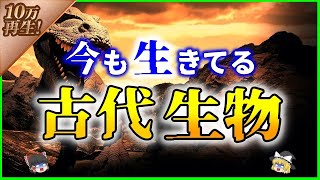 【ゆっくり解説】古代から令和まで！？今も生きている『古代生物10選』を解説