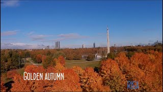 Golden autumn / Zelta rudens