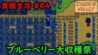 【Stardew Valley】今日の貧困生活 #84 大雨の中ブルーベリー数千個の大収穫！【2年目11～12日目】