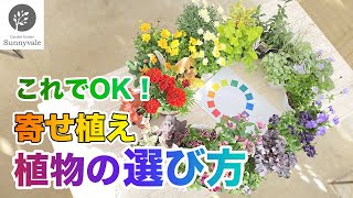 【 寄せ植え初心者必見 】おしゃれな植物の選び方　＃9