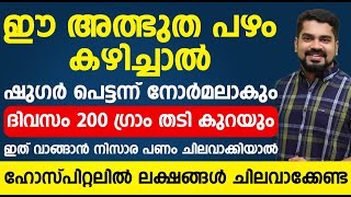 ഈ അത്ഭുത പഴം കഴിച്ചാൽ ഷുഗർ പെട്ടന്ന് നോർമലാവും|ദിവസം 200 ഗ്രാം തടിയും കുറയും |sugar normal avan