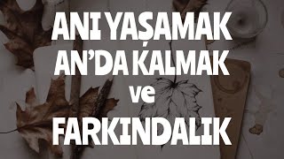 ANI YAŞAMAK , AN’DA KALMAK ve FARKINDALIK - ŞULE KAYA DEMİRKIRAN