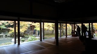 蓮華寺の紅葉 2014