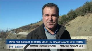 CNVP DHE BASHKIA ELBASAN MBJELLIN FIDANE AKACIE NË LLESHAN