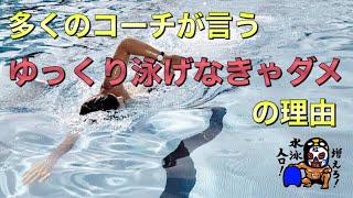 #429【水泳】速く泳ぐためにも 楽に泳ぐためにも多くのコーチが言う『ゆっくり泳げなきゃダメ』の理由について解説