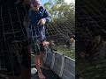 Checking MUD CRAB pots - Australia #shorts