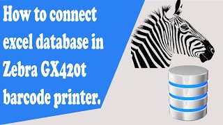 How to connect excel database in Zebra GX420t barcode printer