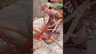 She making a best craft from branch #diy #viral #youtubeshorts #crafts #trending #homedecor