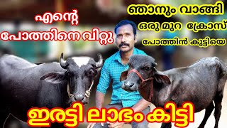 എന്റെ പോത്തിനെ വിറ്റു ഇരട്ടിലാഭം കിട്ടി.   ഞാനും വാങ്ങി ഒരു മുറ ക്രോസ് പോത്തിൻ കുട്ടിയെ.RG Farming