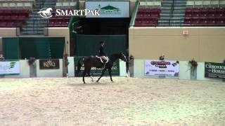 Friday Indoor Class 87 Small Junior Hunter 16-17