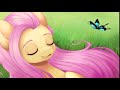 mlp fluttershy tribute galway girl