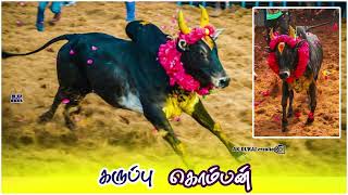 #karuppukompan அமைச்சர் C.விஜயபாஸ்கர்-இன் கருப்பு🤧 கொம்பன் காளை கண்ட அனைத்து களங்கள்🥺😩