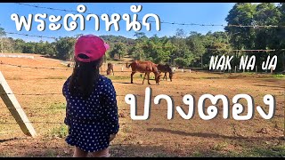 EP.7-5 ทริปภูเก็ต-แม่ฮ่องสอน แวะพระตำหนักปางตอง พาข้าวหอมดูสัตว์หายากเเละหาความรู้เกษตรเเบบยั่งยืน