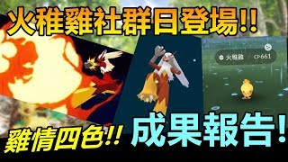 【精靈寶可夢GO】POKEMON GO|火稚雞社群日登場!雞情四色後成果報告!