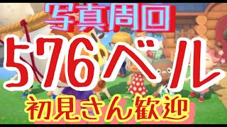 【あつ森とテトリス】カブ価576ベル島や写真周回やテトリスなど　ライブ参加型