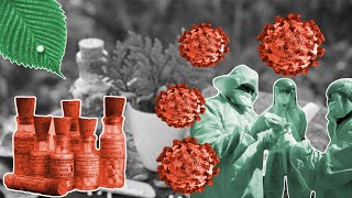 Homeopathy and Coronavirus, explained