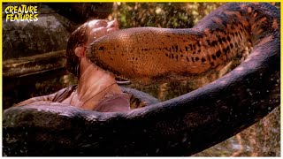 Mighty Anaconda Kills The Skipper | Anaconda | Creature Features