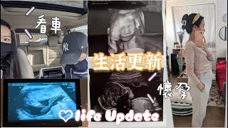 Vlog: 近況更新 | 懷孕、寶寶性別揭曉 | 第22週高層次超音波 | 紐約懷孕日記