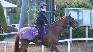 【AJCC】日本ダービー馬ダノンデサイルが早くも始動　新コンビの戸崎騎手「ずっとワクワクしていました」 Japanese sports