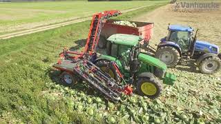 Industrial cabbage harvester with wagon loader.