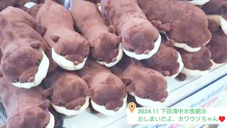 2024.11 下田海中水族館⑨おしまい！カワウソちゃんお迎え♥