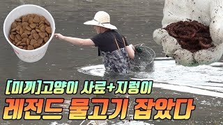 [통발낚시] 고양이사료_민물 통발을 던져보았다 _ 레전드 물고기 등장