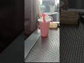 Strawberry lassi / Al haleem Restaurant 65 Dunlop Street Singapore