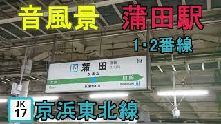 【音風景】蒲田駅1・2番線＜京浜東北線(南行)＞(2022.11.19)【駅環境音】