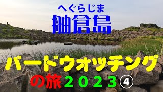 舳倉島バードウォッチングの旅２０２３④　Hegurajima island bird watching trip in Japan