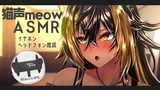 ⚡[ ASMR?/Binaural ] 猫族_meow⚡【猫小夜くろえ/Vtuber】