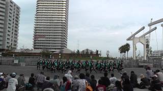 【公式】京炎そでふれ！Tacchi　神戸よさこい　はねっこ広場会場