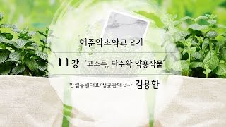 [시흥아카데미] 허준약초학교2기 11강 「고소득,다수확 약용작물」 - 김용한(한림농원대표/성균관대석사)