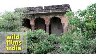 Khandar Fort - Rajasthan