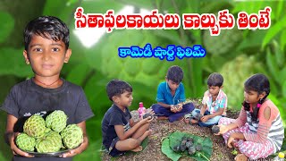 sithapalkayalu kalchuku thinte#27 || my village comedy show || Custard Apple | sadanna comedy junnu