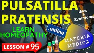 Pulsatilla Pratensis  Uses And Symptoms   Learn Homeopathy Online Free Materia medica