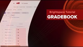 Creating a Brightspace Gradebook from Scratch